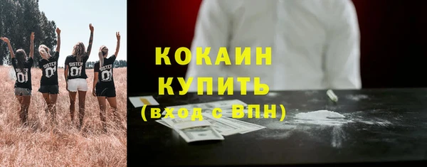 кокс Каменка