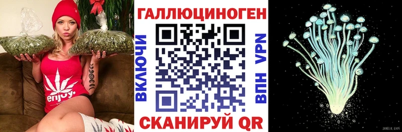Купить  Ликино-Дулёво  Галлюциногенные грибы мицелий 